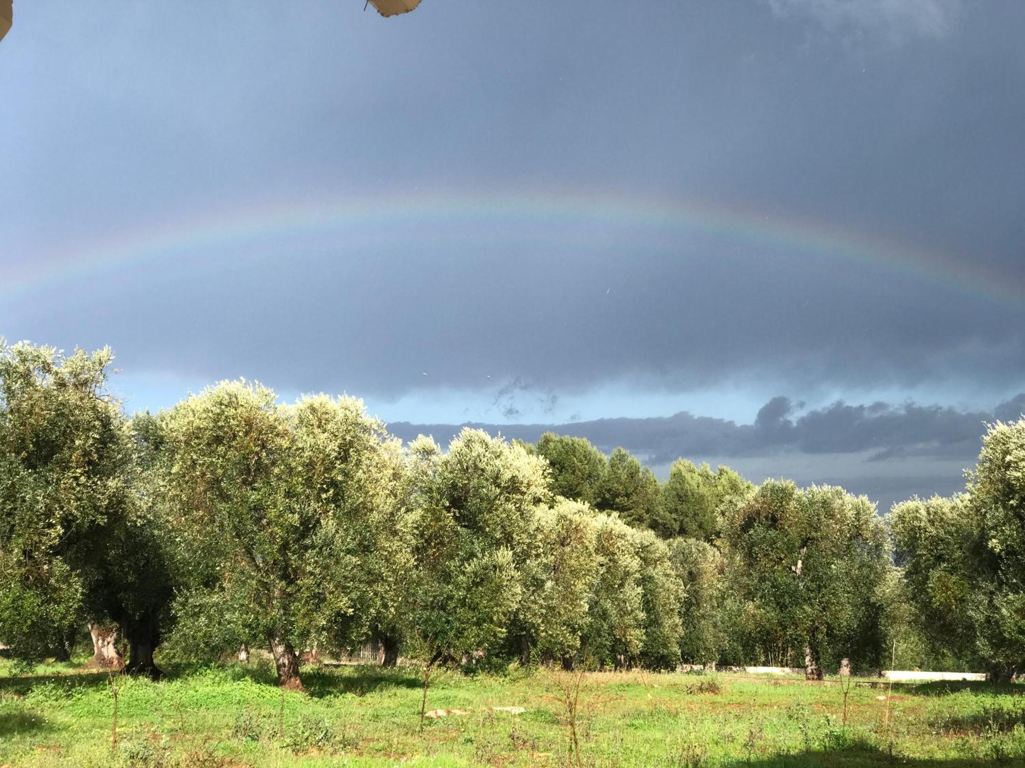 Tenuta La Pomona Остуни Экстерьер фото